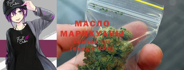 индика Рославль