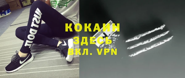 индика Рославль