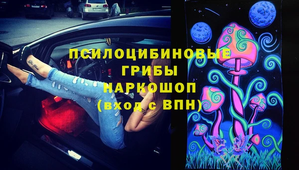 сатива Сафоново