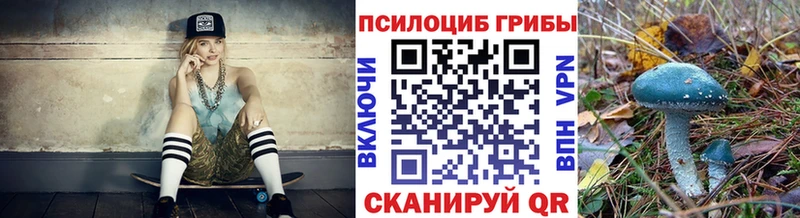 Псилоцибиновые грибы Psilocybine cubensis  Стрежевой 